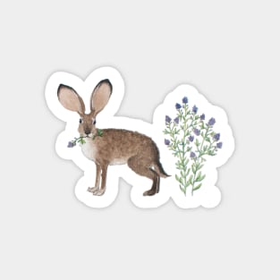 Black-tailed Jackrabbit Sticker